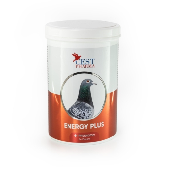 Cest Pharma - Energy Plus - 600g (węglowodany, MSM, witamina C)